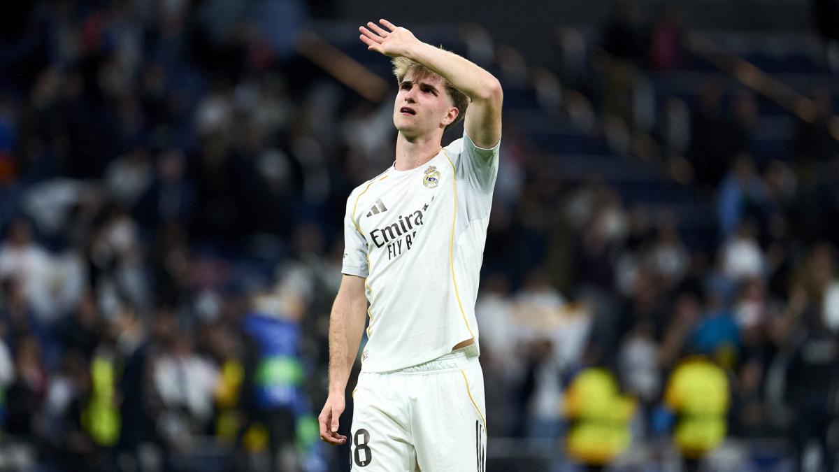 Real Madrid: Fulham also gets their hands on César Palacios