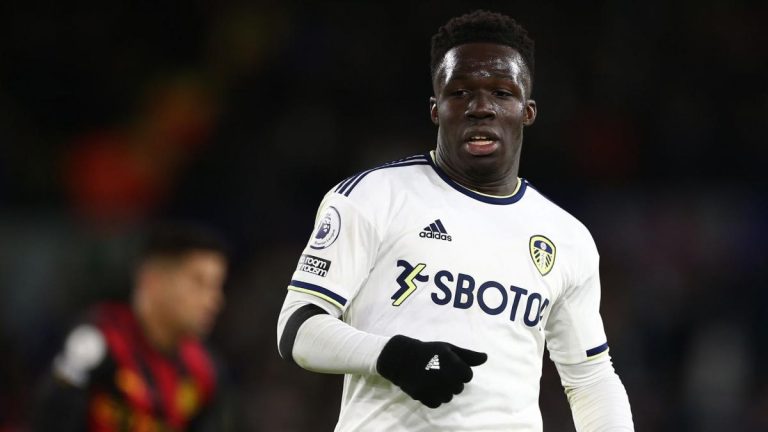 Fiorentina: Wilfried Gnonto will finally discover Serie A